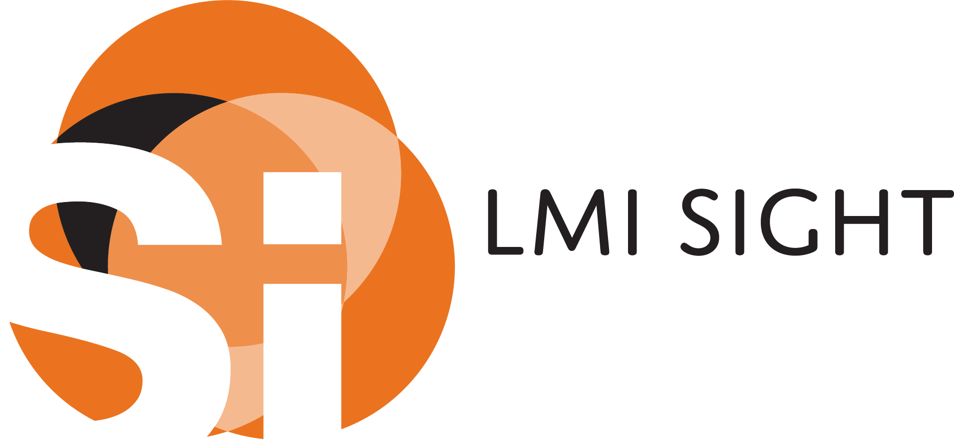 LMI Sight