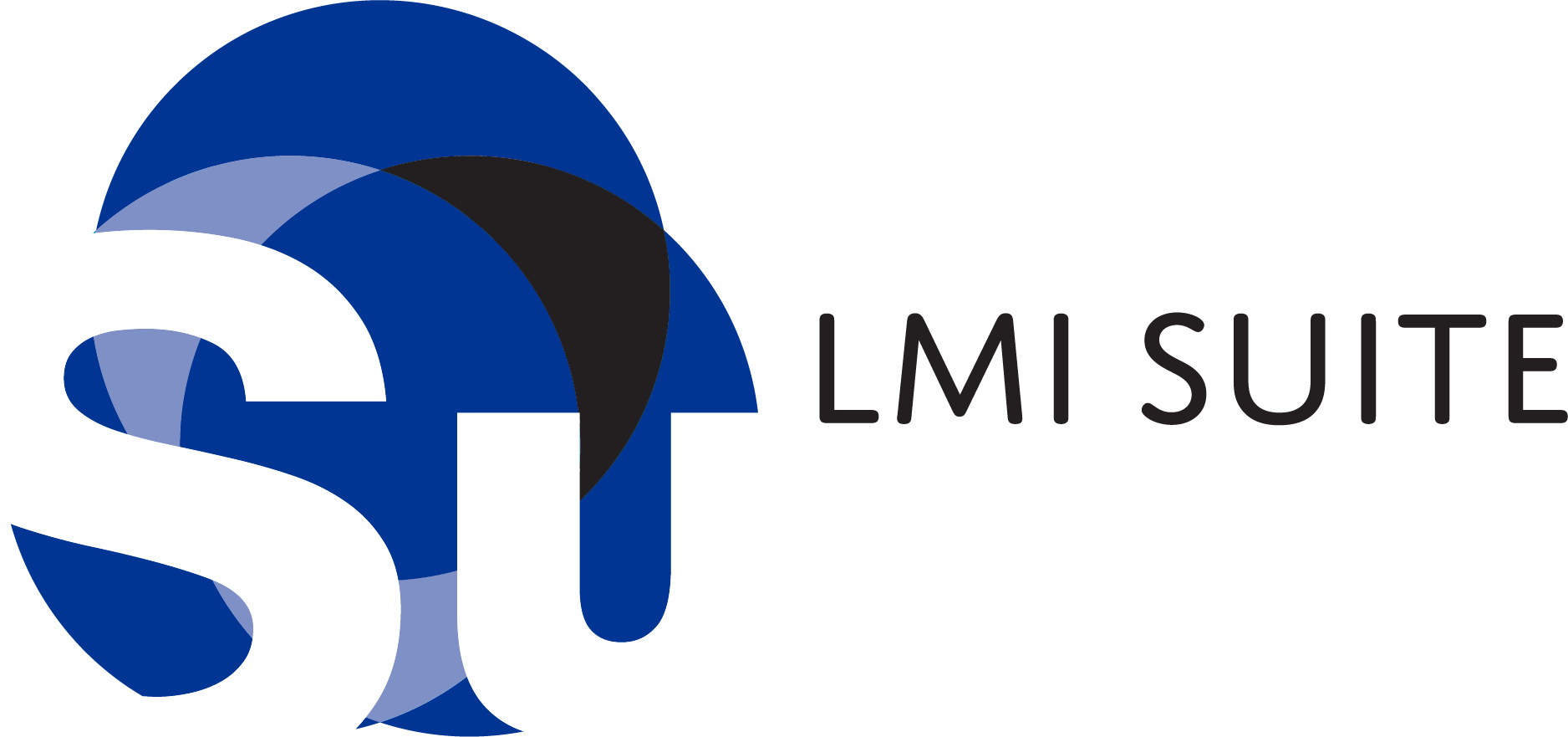 LMISuite